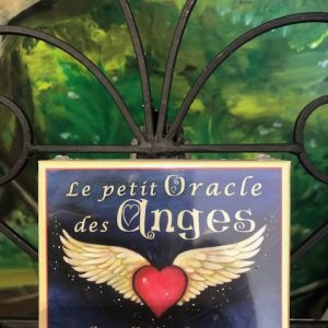 Le petit oracles des Anges, amour, guérison et protection - Boutique ésotérique La Porte des Secrets