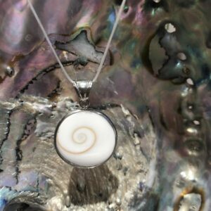 Oeil de Sainte Lucie