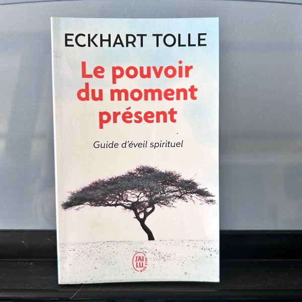 Le pouvoir du moment présent - guide d'éveil spirituel édition j'ai lu - Boutique et librairie ésotérique La Porte des Secrets