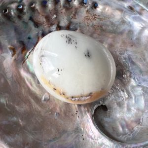 Galet Opale blanche galet plat Australie 7cmx6 cm Boutique La Porte des Sec(rets