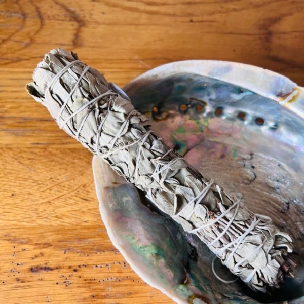 Sauge Blanche de Californie, bâton 15 cm , 40 gr - Boutique ésotérique La Porte des Secrets