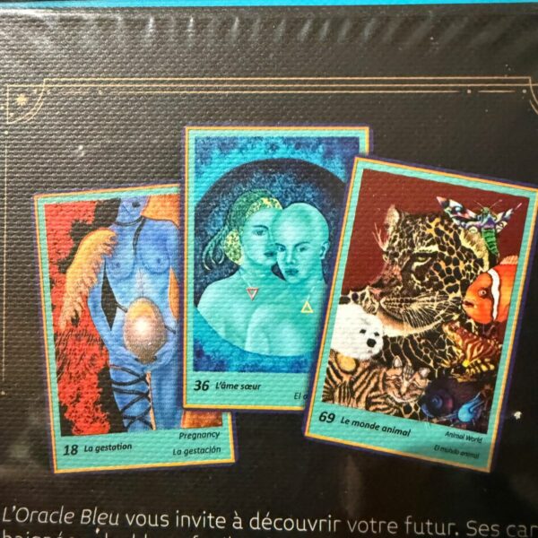 L'oracle bleu 73 cartes & notice, format 14 x 10 cm. Boutique ésotérique La Porte des Secrets