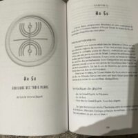 Sceau d'unité quantique Ha Su - Equilibre des trois plans. Boutique ésotérique La Porte des Secrets
