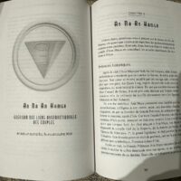 Sceaux d'unité quantique An Na An Hamsa - guérison des liens dysfonctionnels des couples. Boutique ésotérique La Porte des Secrets