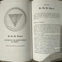 Sceaux d'unité quantique An Na An Hamsa - guérison des liens dysfonctionnels des couples. Boutique ésotérique La Porte des Secrets