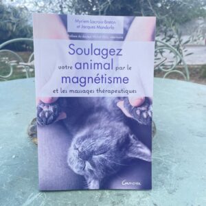 Soulagez votre animal par le magnétisme et les massages thérapeutiques