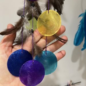 Attrape rêve arc en ciel et cercle transparents