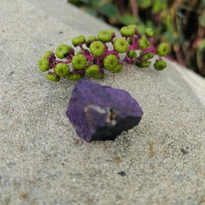 Pierre Purpurite brute de Namibie - taille environ 3.5/4 cm - Boutique La Porte des Secrets