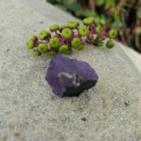 Pierre Purpurite brute de Namibie - taille environ 3.5/4 cm - Boutique La Porte des Secrets