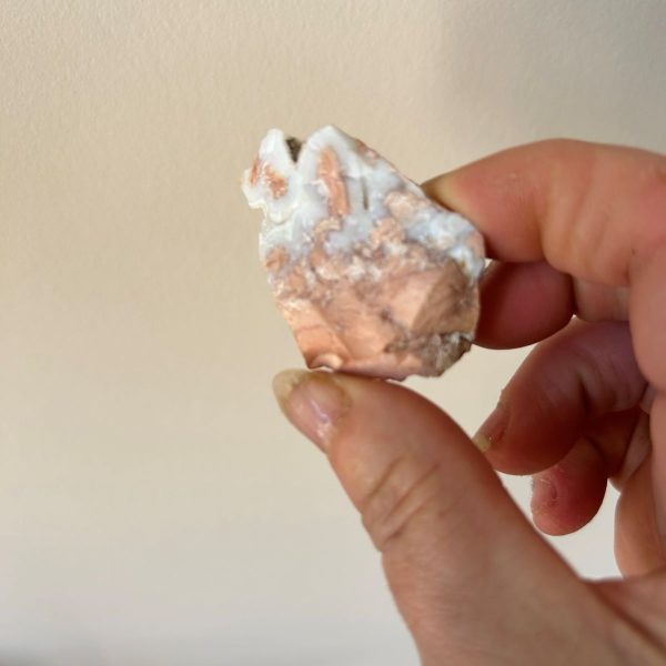 Rosetta naturelle pierre brute Mexique - Variété d'agate introuvable boutique minéraux du monde La Porte des Secrets