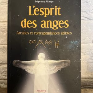 L'esprit des anges - Arcanes et correspondances spirites - Boutique & Librairie ésotérique La Porte des Secrets
