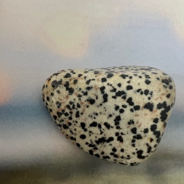 Jaspe Dalmatien Brésil, grande pierre roulée forme libre - Boutique La Porte des Secrets