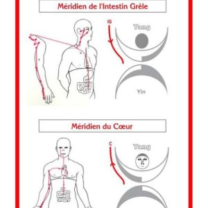 SHOU-ZU méthode d'apprentissage et rééquilibrage énergétique par les Méridiens - coffret 49 cartes - Boutique La Porte des Secrets