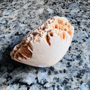 Pierre de SCOLECITE polie en provenance d'Inde - Boutique La Porte des Secrets