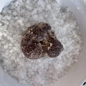 Pierre des Chamans nodule de Marcasite - Boutique La Porte des Secrets