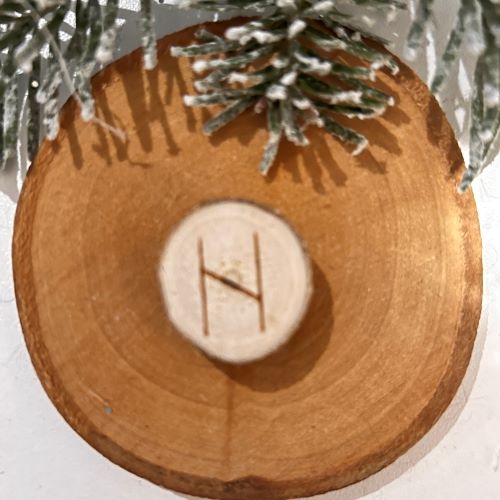 Rune 9. HAGAL - HAGALAZ en bois brut naturel - Boutique La Porte des Secrets