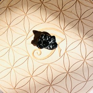 Tectite (ou roche de l'Espace) météorite boutique La Porte des Secrets