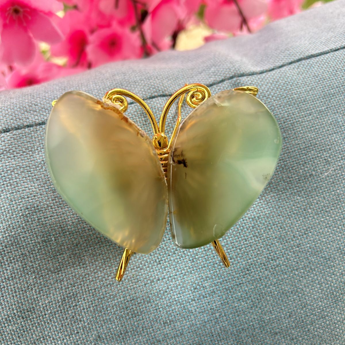 Agate Plume - Papillon