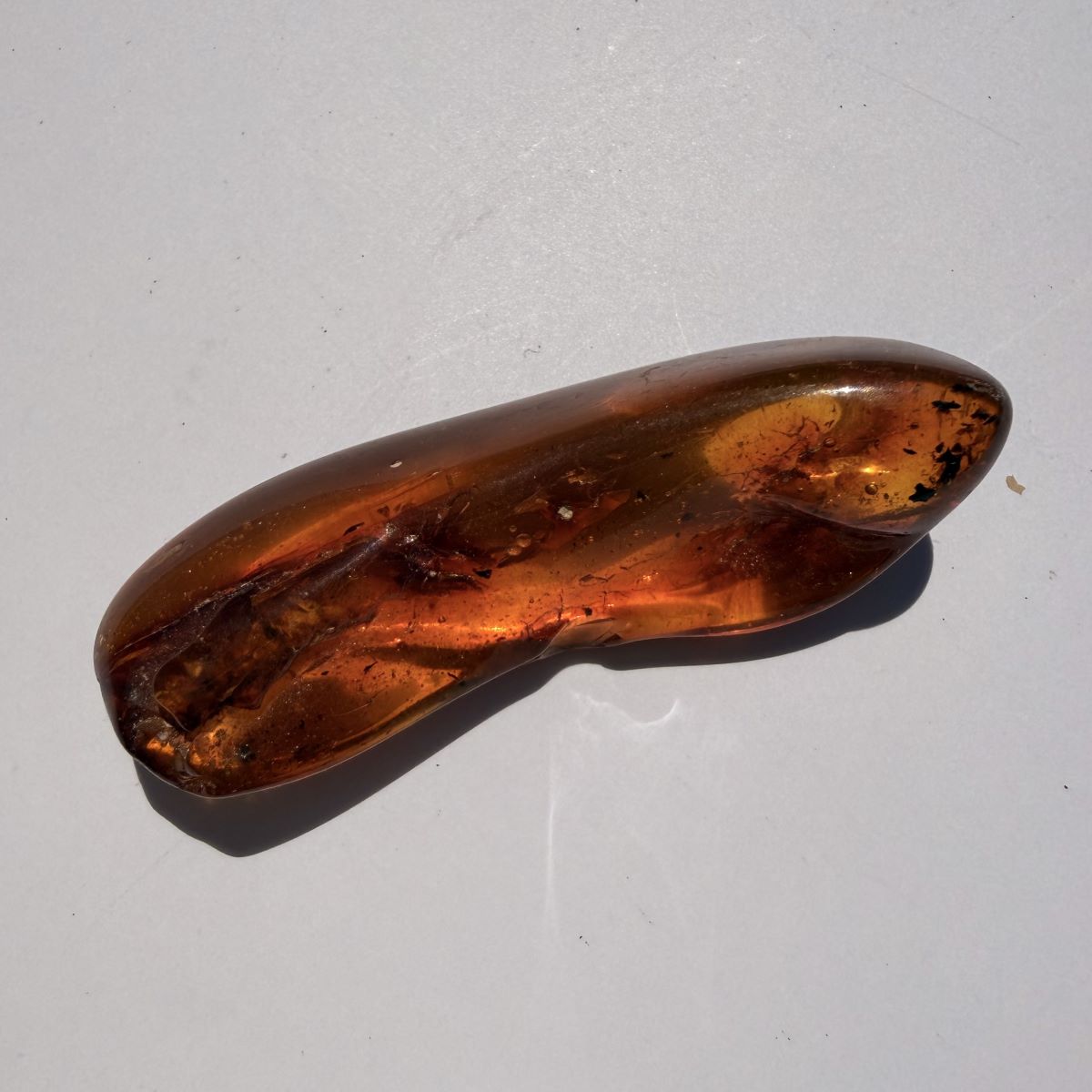 Ambre naturelle de la mer Baltique, pierre roulée – Ambre véritable qualité extra