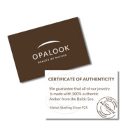 Certificat d'authenticité pendentif goutte en Ambre naturel. Boutique La Porte des Secrets