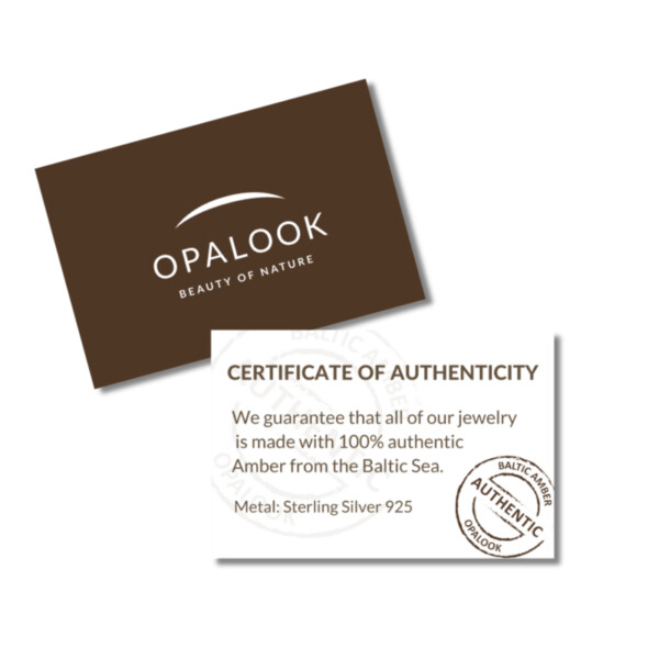 Certificat d'authenticité pendentif goutte en Ambre naturel. Boutique La Porte des Secrets